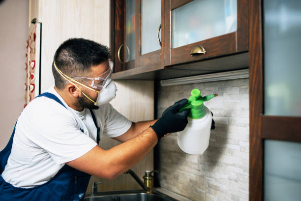 Best Mosquito Control Services  in Willow Oak, FL
