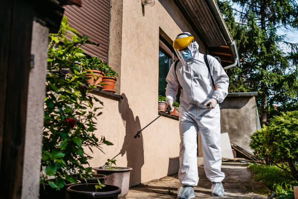 Best Best Pest Control Companies  in Willow Oak, FL